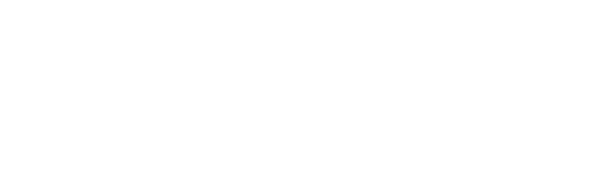 SYA_Wide_Logo_WHITE.png